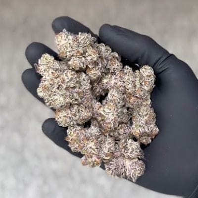 Cure_lids_ _terpene_preservation