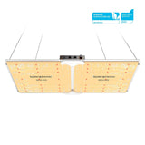 Spider Farmer 301H EVO full spectrum LED grow light with Samsung horticulture LEDs, dual bar design, and dimmer.