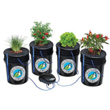 Alfred Horticulture DWC 4-plant system growing chives, tomatoes, lettuce, chili peppers, with air pump.