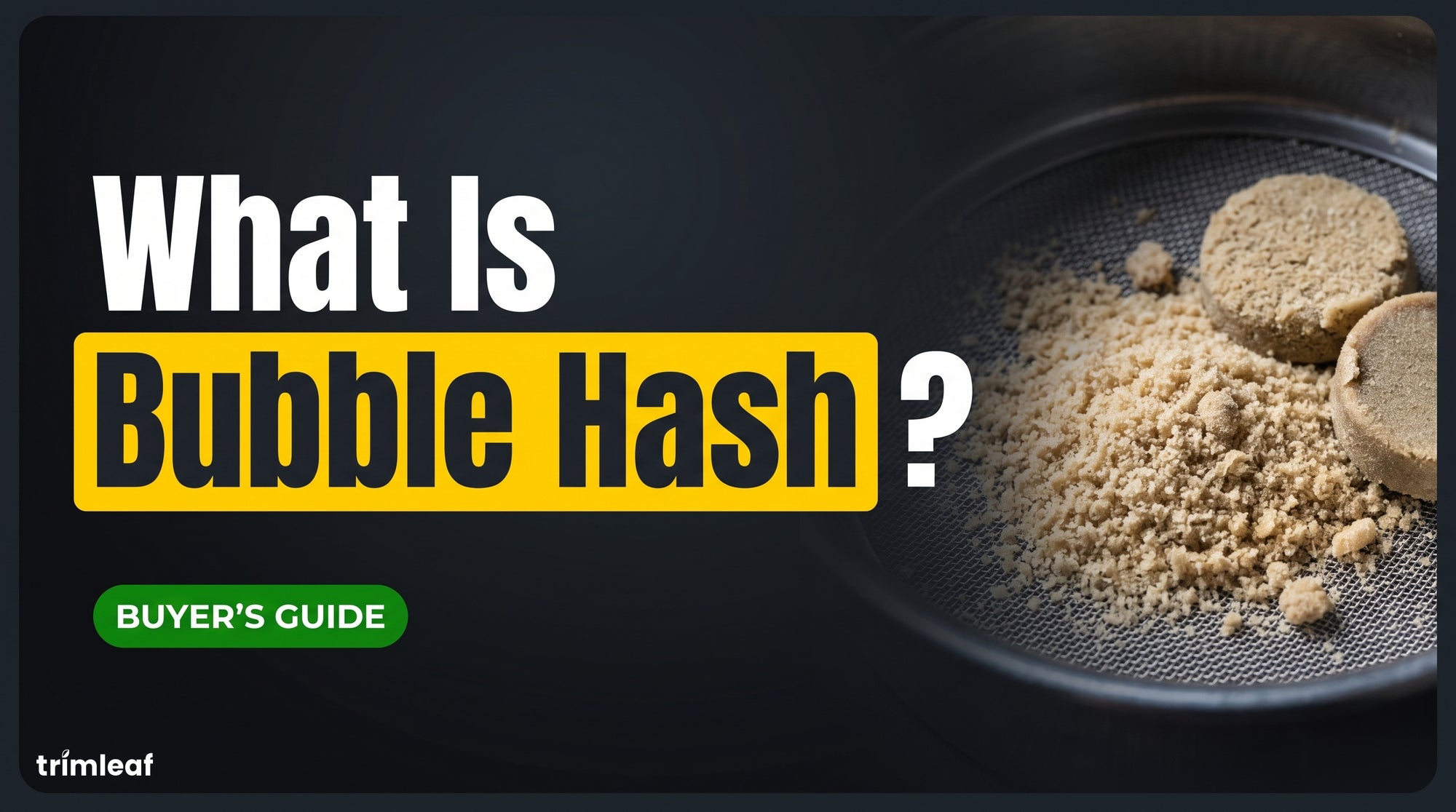 What Is Bubble Hash? Grades, Yield, Equipment and How It's Made
