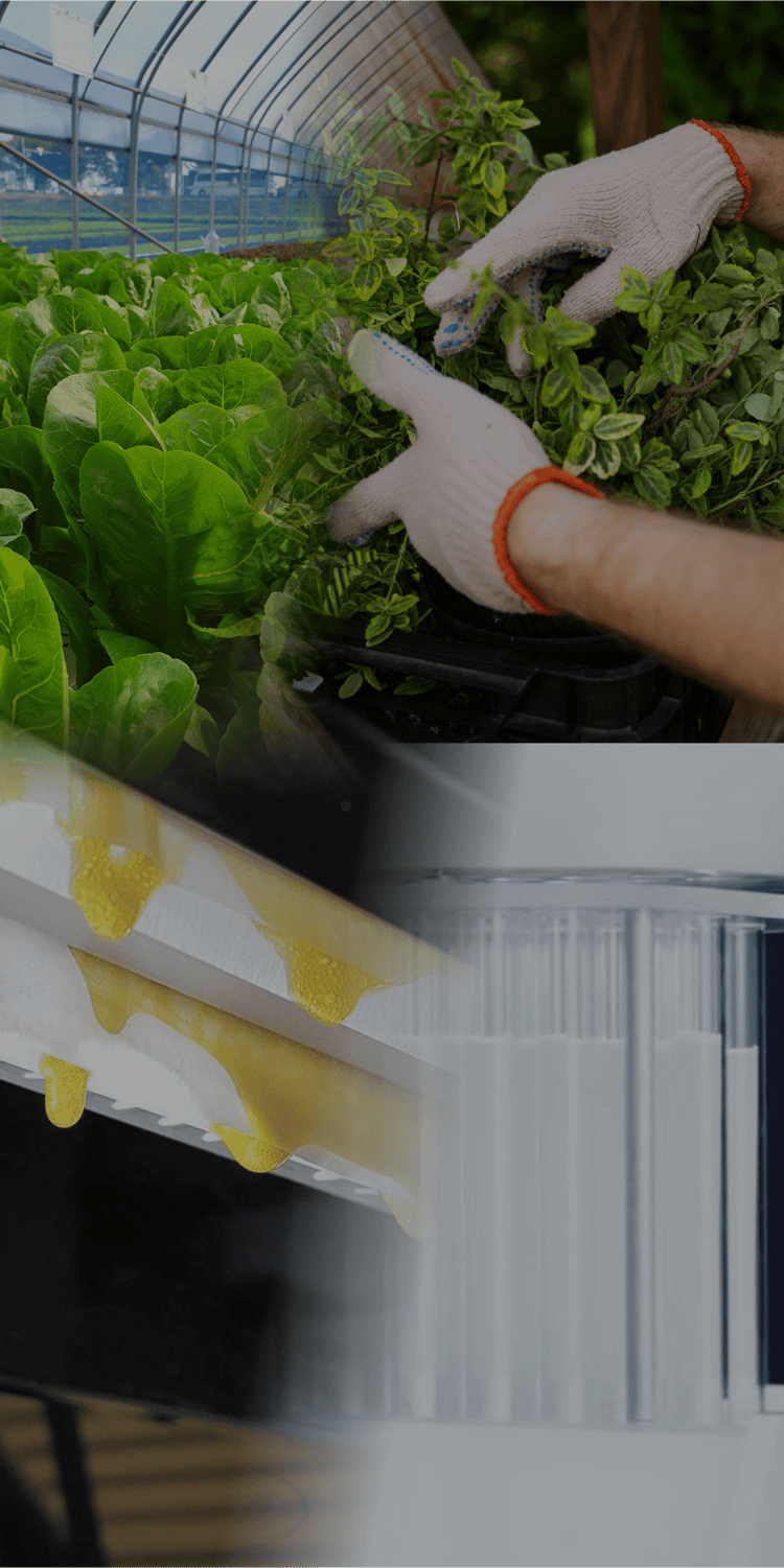 From Seed to Harvest: Your Partner in Every Step