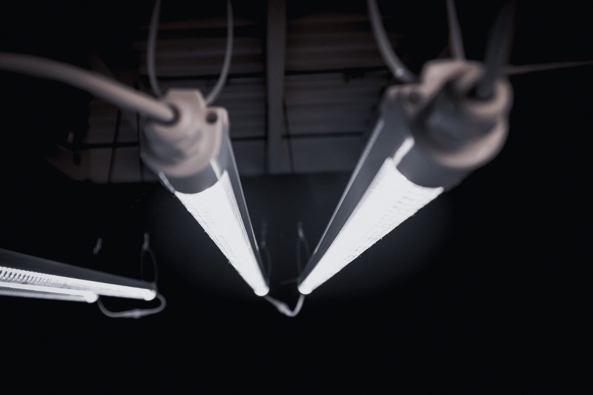 Two white LED tube lights hang from above, illuminating a dark space.