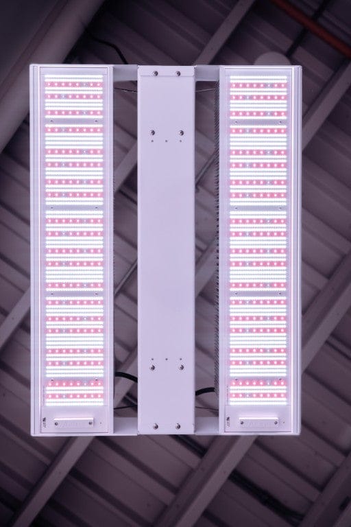 Aelius full spectrum LED grow light with white and pink LEDs.