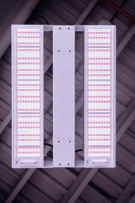 Aelius full spectrum LED grow light with white and pink LEDs.
