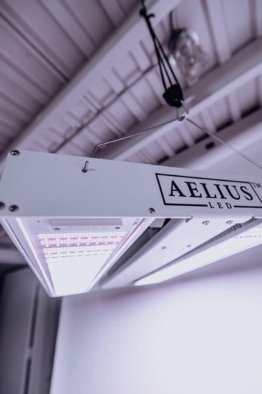 Aelius LED grow light with full spectrum LEDs suspended from a ceiling.