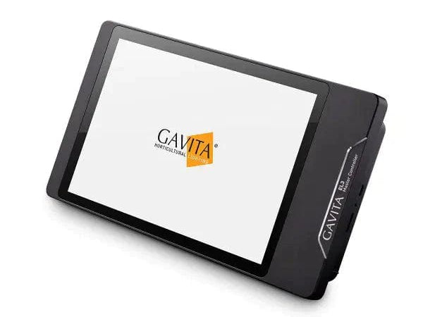 Gavita