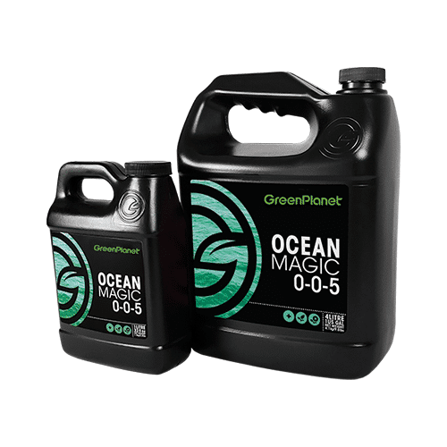 Two black jugs of GreenPlanet Ocean Magic 0-0-5 kelp additive on a white background.