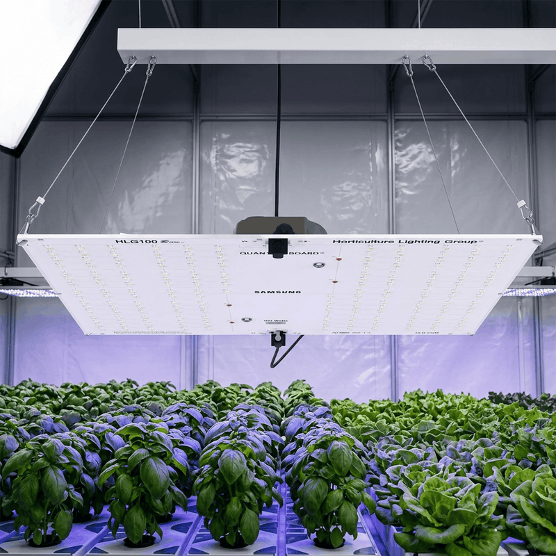 Grow Lighting & Spaces