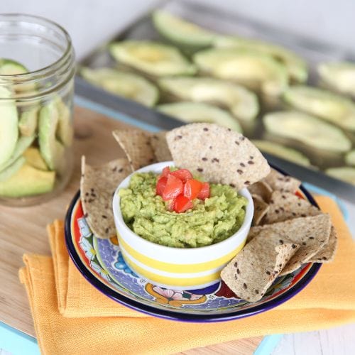 Harvest Right Freeze Dryer Avocado