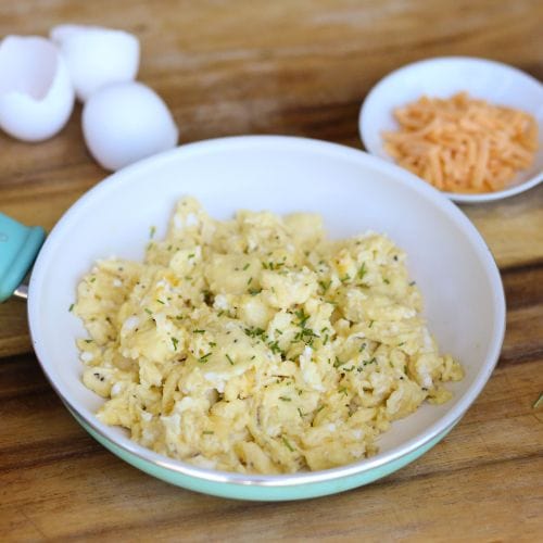 Harvest Right Freeze Dryer Eggs