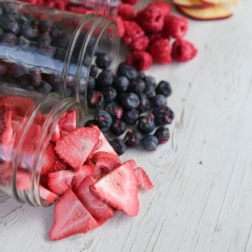 Harvest Right Freeze Dryer Fruits