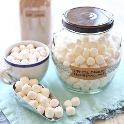 Jar of freeze-dried marshmallows, hot cocoa mug, and scoop on a blue cloth. Ideal for winter beverages.