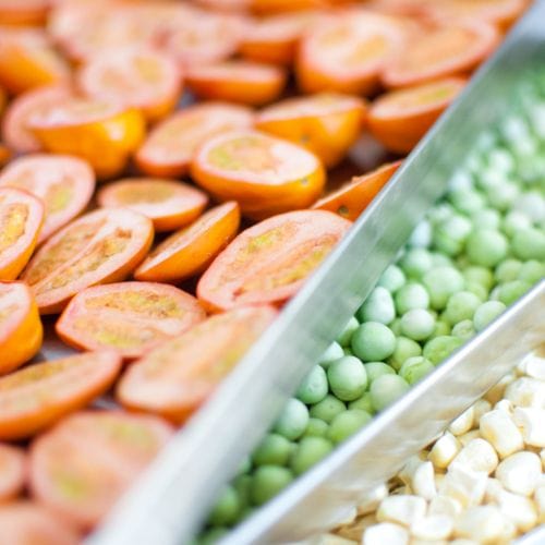 Sliced tomatoes, green peas, and corn kernels in trays, prepared for freeze-drying.