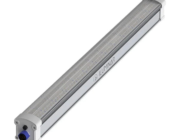 Iluminar Lighting