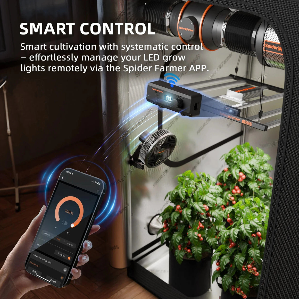 Hand uses Spider Farmer app to remotely control an LED grow light and fan inside a grow tent with plants.