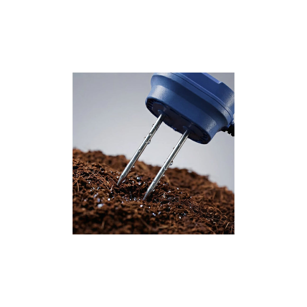 Close-up of a blue soil moisture meter with two silver probes inserted into dark, damp soil.