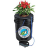Alfred Deep Water Culture 1-Plant System