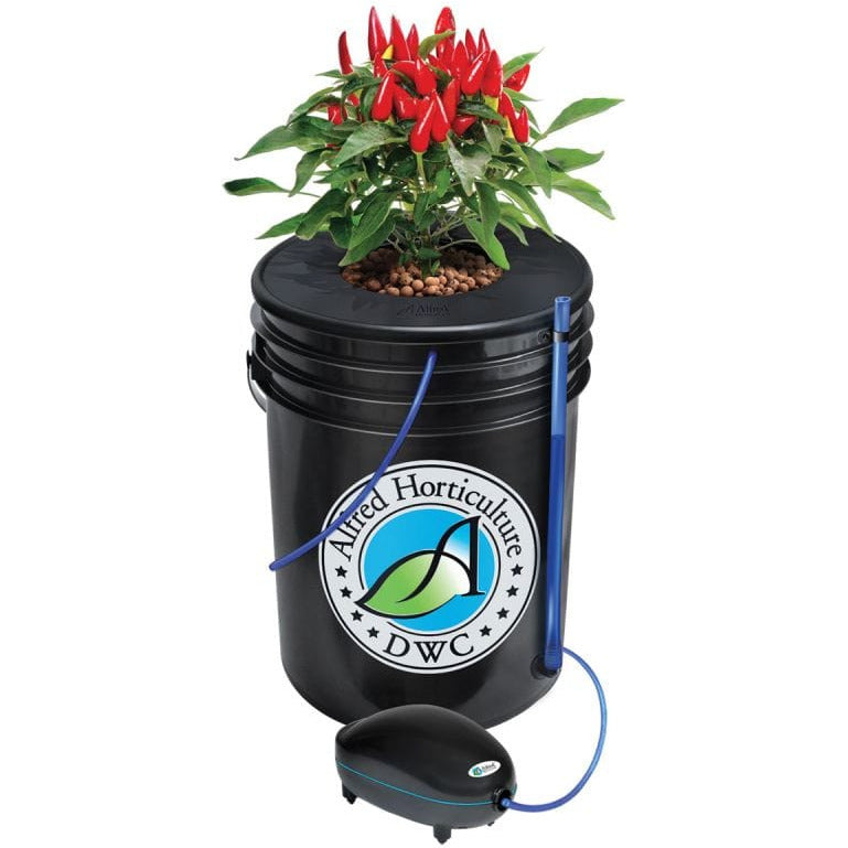 single plant hydroponics Alfred 1-Plant DWC System