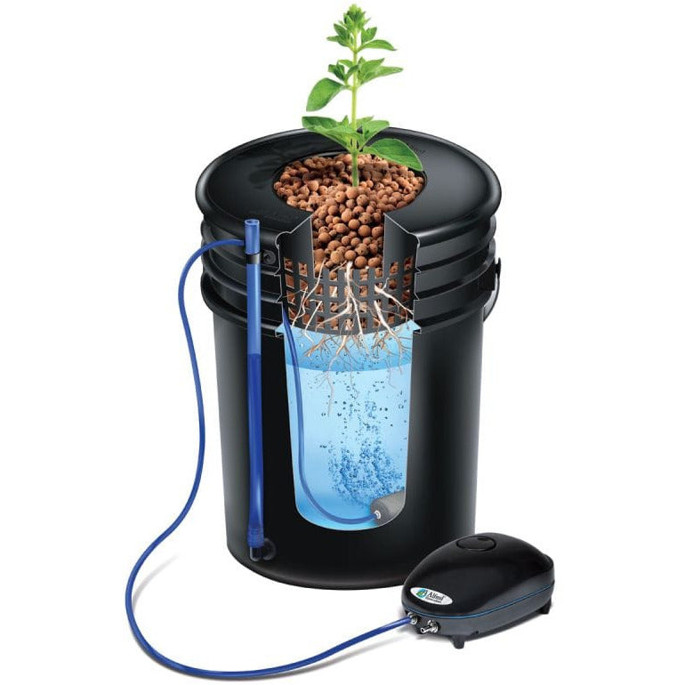 two plant hydroponic system Alfred DWC 2-Plant Hydroponic System