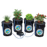 Alfred Deep Water Culture 4-Plant System