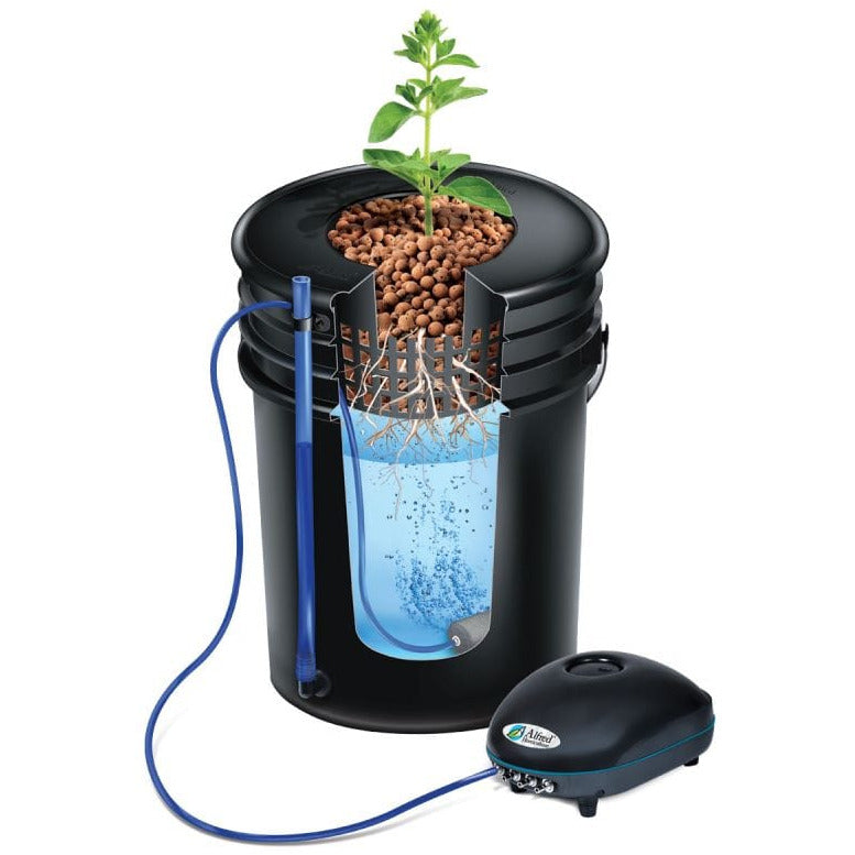 4 plant hydroponic setup Alfred Horticulture 4-Plant DWC System