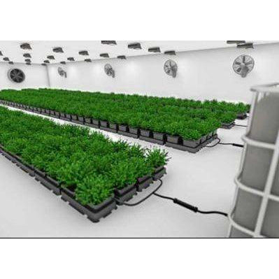 Hydroponic Autopot Easy2Grow system with rows of lush green plants in a clean indoor grow room, with fans & lights.