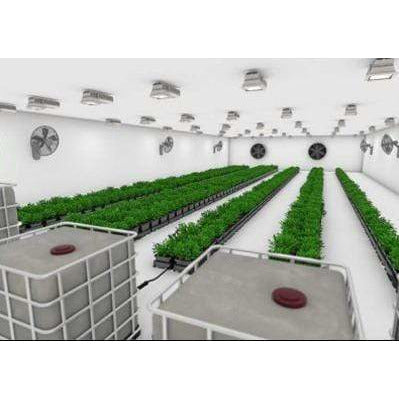 Indoor hydroponic grow room with multiple rows of lush green plants, large white water tanks, ceiling lights, and fans.