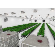 Indoor hydroponic grow room with multiple rows of lush green plants, large white water tanks, ceiling lights, and fans.
