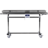 Mobius stainless steel infeed conveyor system with top belt, control panel, adjustable metal frame, and locking casters.